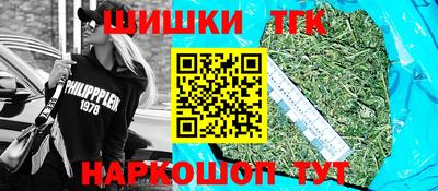 тгк Будённовск