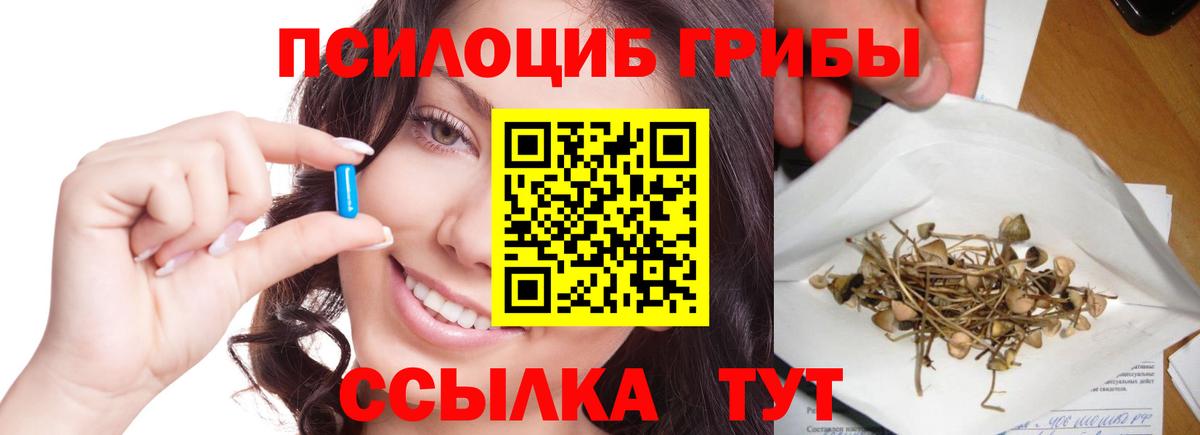 Галлюциногенные грибы Cubensis Красноуфимск